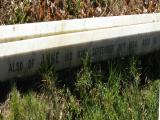 image of grave number 489440